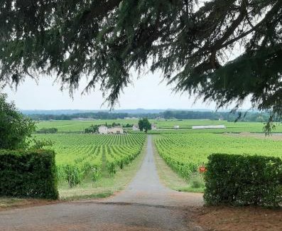 Saint-Magne-de-Castillon Bed & Breakfast | A L'OMBRE DE LA TREILLE -Proche Saint-Emilion
