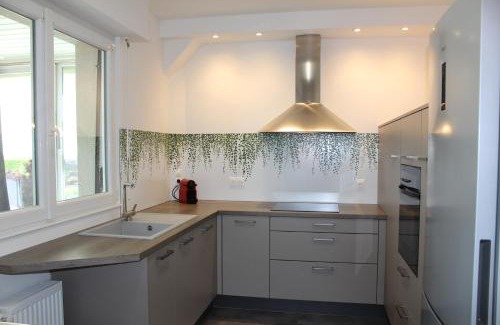 Wangen Apartment | A L'orée des vignes, superbe logement de 80 m2