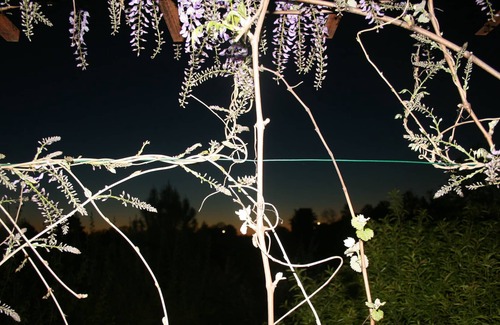 Gaillac Apartment | A little corner of paradise overlooking the pool and the Tarn valley