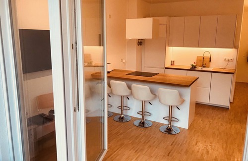 Mitte Condo | A new apartment with an underground parking at a Centralized and trendy area.