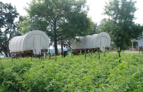 Vergas Cottage | A one of a kind stay in a Conestoga Covered wagon on the shores of Rose Lake