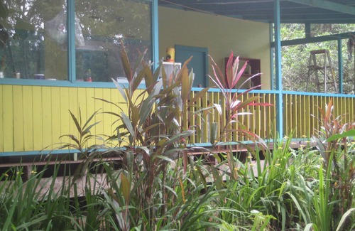 Cocles House | A paradise for nature lovers