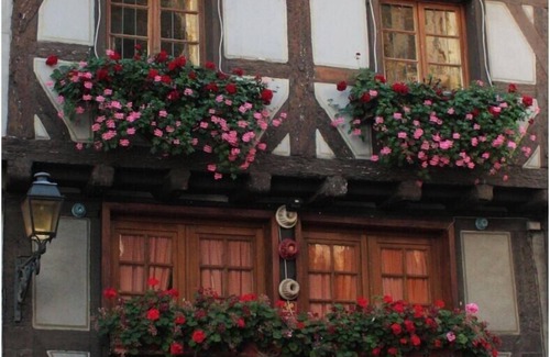 Saint Joseph/Mittelharth Apartment | A quiet Colmar free easy parking area, 8 mins walk gareTGV