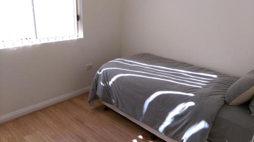 Erskineville Apartment | A Quiet Oasis