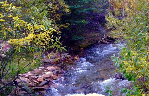 Idaho Springs Cabin | A River Front Mountain Luxury Cabin - Relaxing, Skiing, Rafting, Hot Tub, Suana