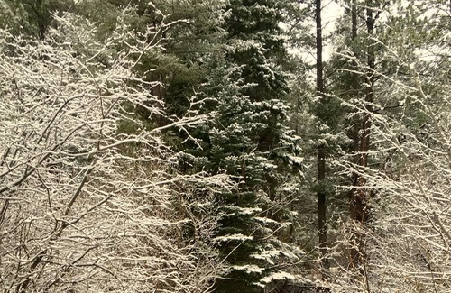 Idaho Springs Cabin | A River Front Mountain Luxury Cabin - Relaxing, Skiing, Rafting, Hot Tub, Suana