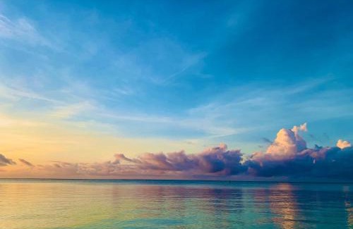 Watamu House | A Rocha Eco-Lodge & Conservation Centre