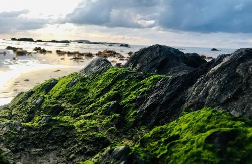 Denhams Beach House | A Sanctuary at Denhams - Family & Pooch Friendly