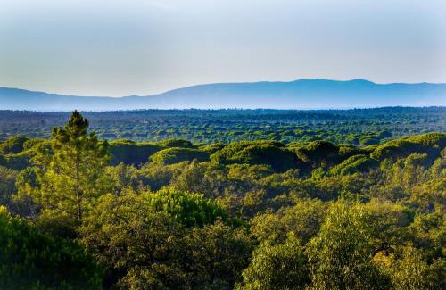 Grandola House | A Serenada Enoturismo