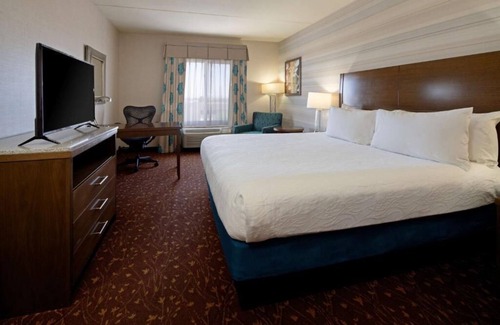 Albuquerque Hotel | A Slice of Paradise! Indoor Pool, Pets Allowed, Free Shuttle, Free Parking!