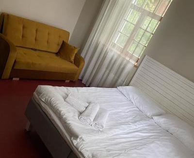 Vilnius County House | A. Smetonos Dvaro Smetonienės svetainė