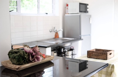 Pennington Apartment | A Special Vacation Rental for Special People.