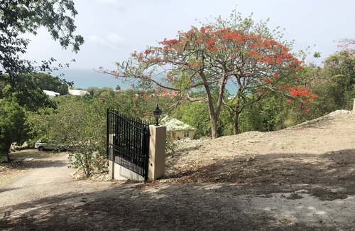 Cedar Grove Cottage | A Tropical Getaway!
