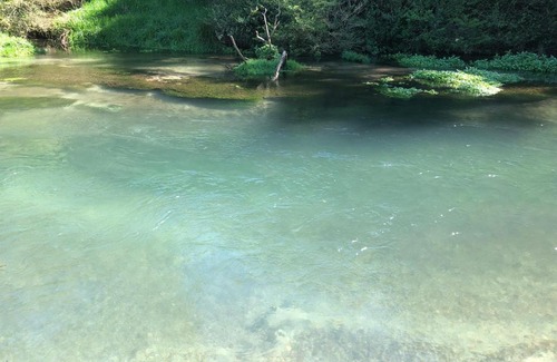 Tirau House | A1 Troutfishing at Tirau