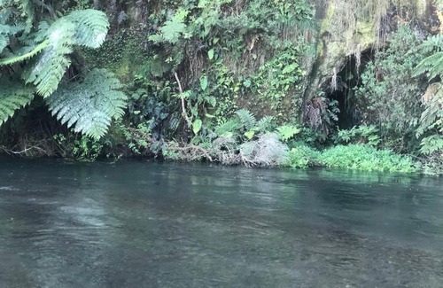 Tirau House | A1 Troutfishing at Tirau