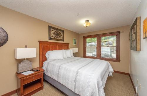 Thayerville Apartment | A120 One Bedroom Standard View
