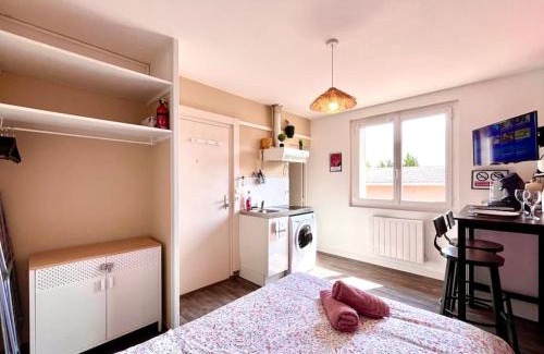 Saint-Georges-sur-Baulche Apartment | A605 Studio Auxerre avec parking