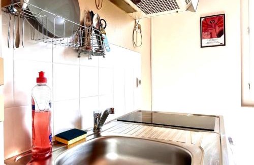Saint-Georges-sur-Baulche Apartment | A605 Studio Auxerre avec parking