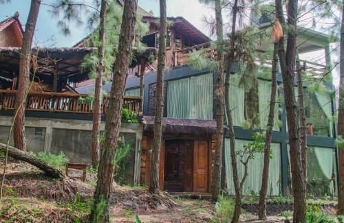 Sukapura House | AAA, Omah Kayu, Exclusive Bromo Tour Villa, Managed by Triple A Tour, Including Bromo Jeep Tour and Airport Shuttle