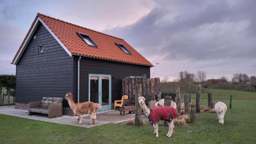 Aagtekerke House | Aan de Waterspiegel
