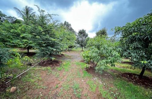 Paud Villa | Aanandee Villa