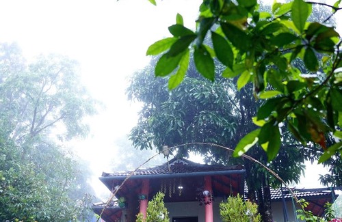 Thalassery Resort | Aaroodam Resort