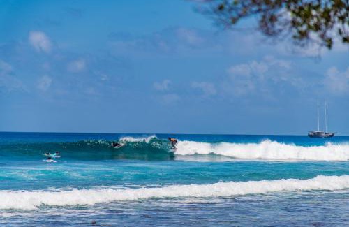 Thulusdhoo Island Hotel | Aasna Inn