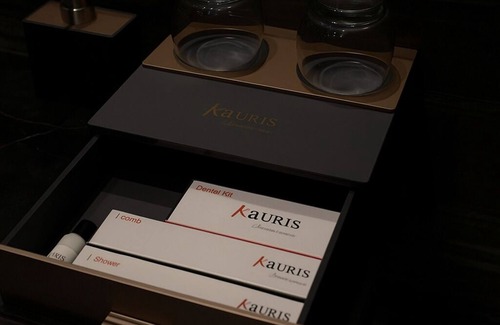 Park Street Hotel | Aauris