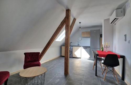 Benfeld Apartment | Ab gite et spa