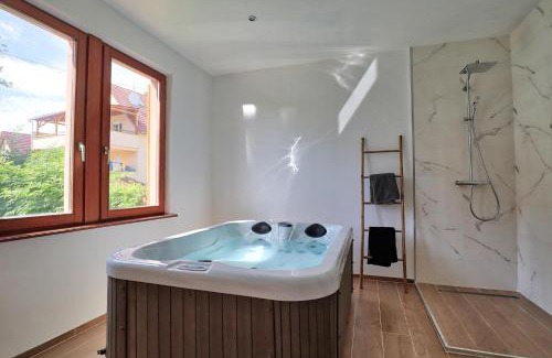 Benfeld Apartment | Ab gite et spa