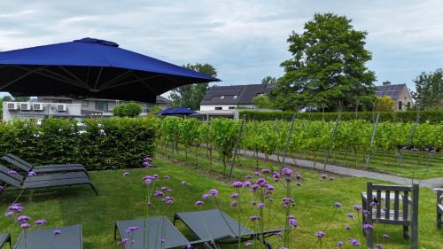 Appels Hotel | Abalona Hotel & Apartments