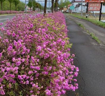 Yobito Hotel | Abashiri - Hotel / Vacation STAY 16180