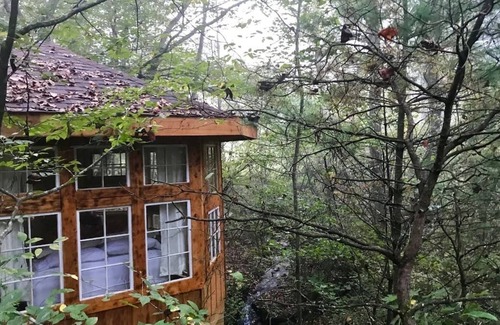 Suches House | Abbie's Waterfall Treehouse - Glamping with a Hot Tub, Cookshack, View from Bed