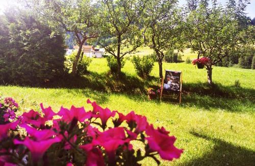 Nauders Apartment | Abenteuerhof