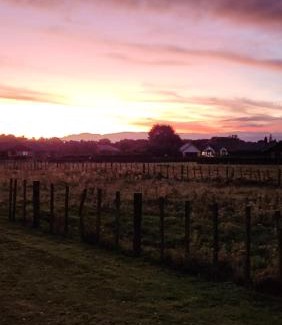 Tamahere House | Aberdeen Cottage with Hobbit House sleep-out