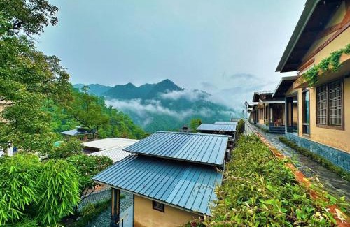 Rishikesh Other | Abhayaranya Yoga Ashram