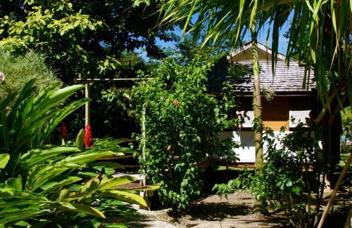 Grande Riviere Hotel | Acajou Hotel