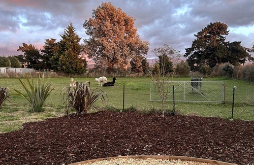 Clareville Other | Accommodation ∙ 1 bedroom ∙ 2 guests