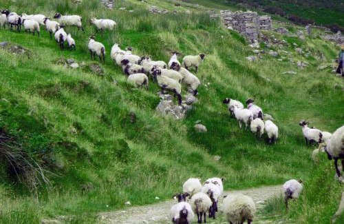 Achill Sound House | Achill Island Holiday home by the Sea
