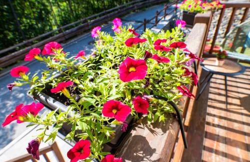 Coveyrand-Vieu Apartment | Achillea