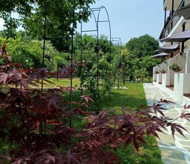 Paralia Skotinis Apartment | Achillion b&b