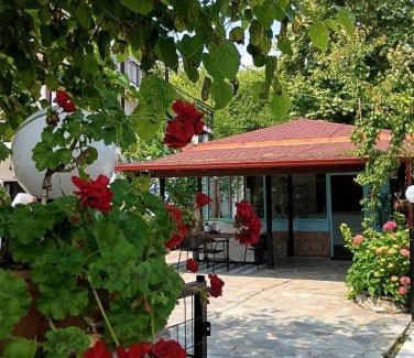 Paralia Skotinis Apartment | Achillion b&b