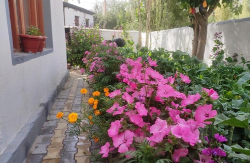 Leh House | Achina