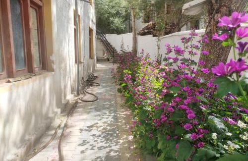Leh House | Achina