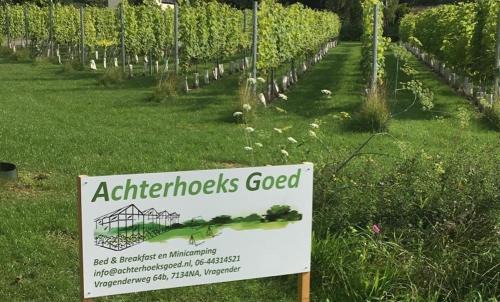 Vragender Other | Achterhoeks Goed, Minicamping in Vragender