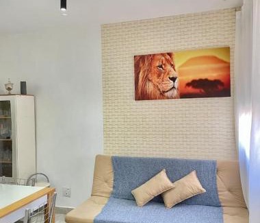 Conceicao Apartment | Aconchegante, só entrar!