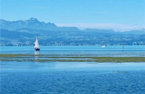 Vogt Hotel | Adam & Eva Gasthof Paradies mit Hotel