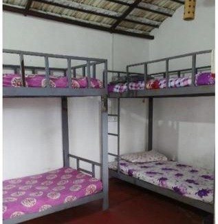 Alappuzha Bed & Breakfast | Adam's Heaven