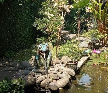 Pangandaran Hotel | Adams homestay