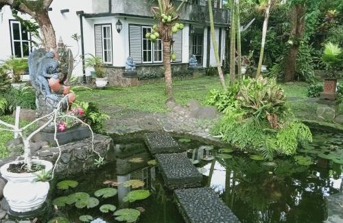 Pangandaran Hotel | Adams homestay